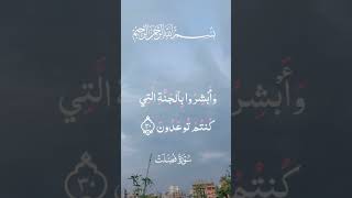 #islamicvideo #shortvideo #birds #ilovemadinasharif #musicgenre #nature #salleallahualaihiwassallam