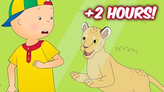 Caillou at the Zoo | Over 2 Hours | Caillou Compilations