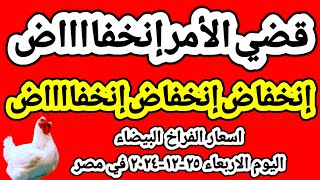 اسعار الفراخ البيضاء اليوم/ سعر الفراخ البيضاء اليوم الاربعاء ٢٥-١٢-٢٠٢٤ في مصر جمله وقطاعي