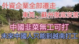 外资全部撤离！产业链整体迁走！制造业重镇东莞、苏州彻底没落！苦果初现，中国失业潮大爆发！韭菜们无工可打，未来10年中国人要去越南打工！