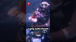 🌊🐠🪸ஆழ்கடலுக்கு அடியில் திருமணம்💍💐Viral ஆகும் புதுமண ஜோடி👰🏻‍♀️🤵🏻