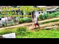 Tradisi lebaran di kampung | saling bertukar masakan atau makanan.