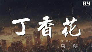 唐磊 - 丁香花『那墳前開滿鮮花 是你多麼渴望的美啊』【動態歌詞Lyrics】