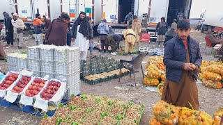 Pakistan’s Fruit Paradise! | The Secret Behind Fresh Fruits! Where Do the Best Ones Come From |