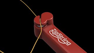 How to Insert a String with ZipString