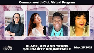 Black, API and Trans Solidarity Roundtable