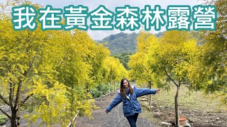 露營Vlog｜黃金森林露營區/兩款電暖器/露營晚餐吃年菜/atc充氣枕/營區介紹,NO24