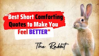 Best Short Comforting Quotes That Will Make You Feel Better