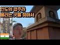 인도에서 한국의 절을 찾아 떠나는 여정 [인도 EP.10]🇮🇳