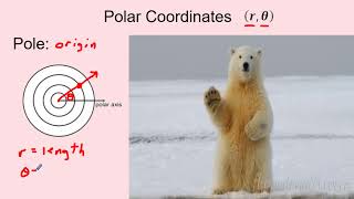 AP Precalculus – 3.13 Trigonometric and Polar Coordinates