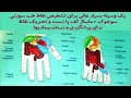 استاد رائفی پور نماز،چرا باید رو به قبله بخوانیم چرا باید عربی بخوانیم و...