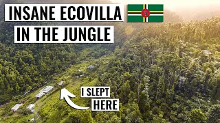 Dominica Jungle Adventure (We crossed 3 RIVERS) to Paradise | Travel Vlog