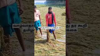 மொத்தமும் போச்சு நடவடிக்கை எடுங்க#viralvideo #trending #shortvideo #தஞ்சாவூர் #rain