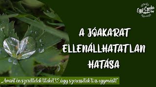 A jóakarat ellenállhatatlan hatása 💛