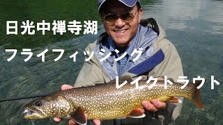 flyfishing in Japan フライフィッシング　日光　中禅寺湖レイクトラウト