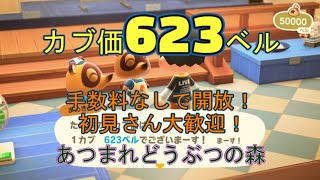 カブ価623ベルを無償開放！ 往復OK！初見さん大歓迎！ 【あつまれどうぶつの森】【ライブ配信】