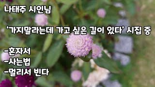 시낭송-나태주시인님 시-1(3편) 혼자서, 사는법, 멀리서 빈다