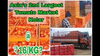 Asia's 2nd Largest Tomato's Market-Kg@16 -KOLLAR#bangalore #tomato #video