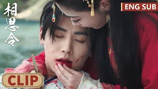 EP29 Clip | Qimin sacrifices himself for Qiluo and dies in the princess's arms | Everlasting Longing