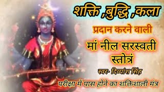 नील सरस्वती स्तोत्रम्। शत्रु विनाशक बुद्धि शक्ति मोक्ष समृद्धि  देने वाली Ma Neel Saraswati stotram