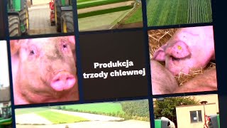 Produkcja trzody chlewnej