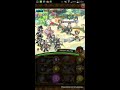 optc 副本 明戈配鷹眼過夏日羅賓30體