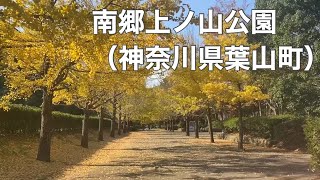 【葉山/Hayama】南郷上ノ山公園/Nangokaminoyama Park（ハイキング/Hiking）