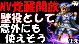 【FFBE】何気使えそうな魔法壁ゼザ爆誕！！NV覚醒開放来たゼザ・ティナをみていく！！【Final Fantasy BRAVE EXVIUS】