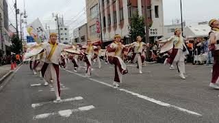 よさこい縁連～彩翔～・銭形よさこい2024