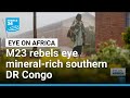 200,000 displaced in DR Congo as M23 rebels eye mineral-rich south • FRANCE 24 English