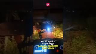 കാറിന് മുന്നിൽ കാട്ടാനക്കൂട്ടം; കുടുംബം രക്ഷപ്പെട്ടത് തലനാരിഴക്ക് | Madhyamam |