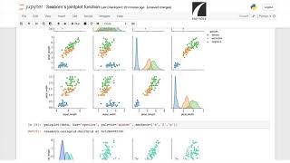 #4 Seaborn's Pairplot Tutorial