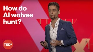 How AI can learn from animal behavior | Seyedali Mirjalili | TEDxSydney