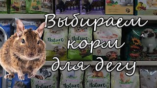 Как выбрать корм для дегу?