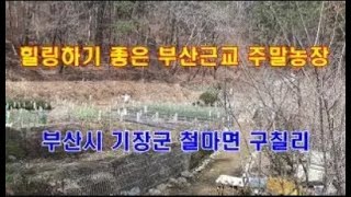 매물번호=380번.텃밭,주말농장. 힐링하기 좋은곳. 부산시 철마면 구칠리.   010-6838-7070