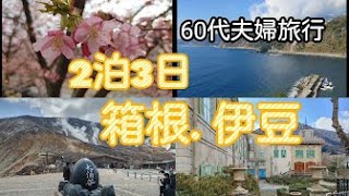 【60代主婦Vlog】箱根.伊豆2泊3日/箱根星の王子様ミュージーアム/河津桜/品の木一の湯/赤沢ホテル/60代夫婦旅行#シニア  #伊豆箱根旅行　#星の王子様ミュージーアム　#河津桜