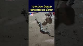 10 అడుగుల పామును చూసిన జనం ఏం చేశారు? - TV9