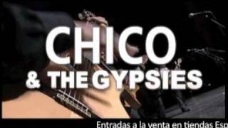 Chico & The Gypsies 2011