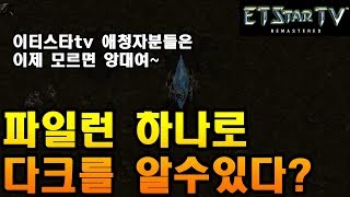 [이티] P vs P |  파일런 하나로 다크를 알수있다? | 엽기스타강좌 Predicting DT Just By Looking At A Pylon?