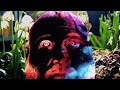 Action Bronson - White Bronco (Video)