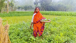 কুয়াশা ভেজা সকালে ক্ষেত থেকে সবজি তুলে রান্না সাথে গরুর মাংসের রেসিপি । Lr poribar