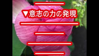 「意志の力」中村天風先生の教え生涯現役ずっと楽しむ会