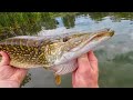 Fishing For BIG PIKE & BASS! Biggest Fish We Have Caught!