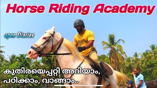 കേരളത്തിലെ തന്നെ ഏറ്റവും മികച്ച Horse Riding Academy നിലമ്പൂരിൽ... കുതിരയെ വാങ്ങാം, റൈഡിങ് പഠിക്കാം.