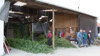 Hopfenernte in der Hallertau