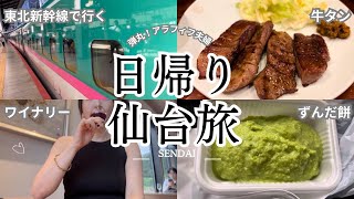 仙台日帰り旅行VLOG｜日帰りで楽しむ秋保温泉とワイナリー🍇/仙台グルメを満喫のはずが・/やっぱり牛タン定食とずんだ餅/メディアテークを拝む【40代夫婦】