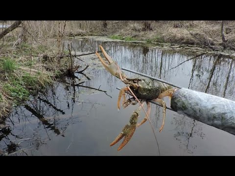 Как использовать Тирольскую палочку? ความคิดเห็น • 590