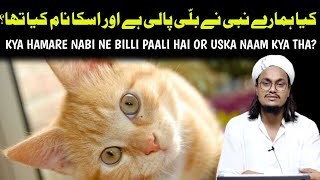 Kya Hamare Nabi ne Billi pali hai or uska name kya tha ? | Mufti A M Qasmi