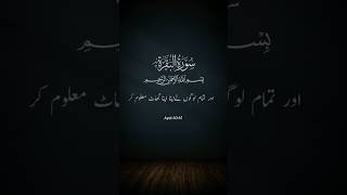 Quran Recitation | Surah [Al Baqarah] | With Urdu Translation | #shorts