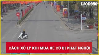 Cách xử lý khi mua xe cũ bị phạt nguội| Báo Lao Động